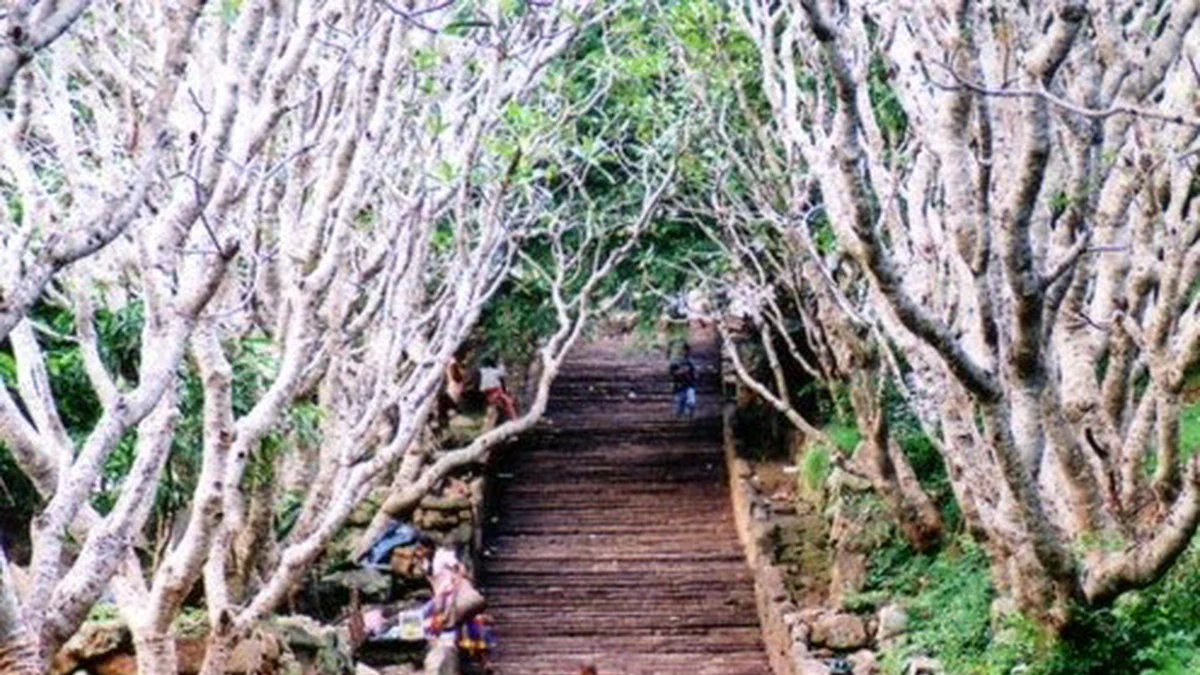 Cover image for El Dharma y la sociedad de castas