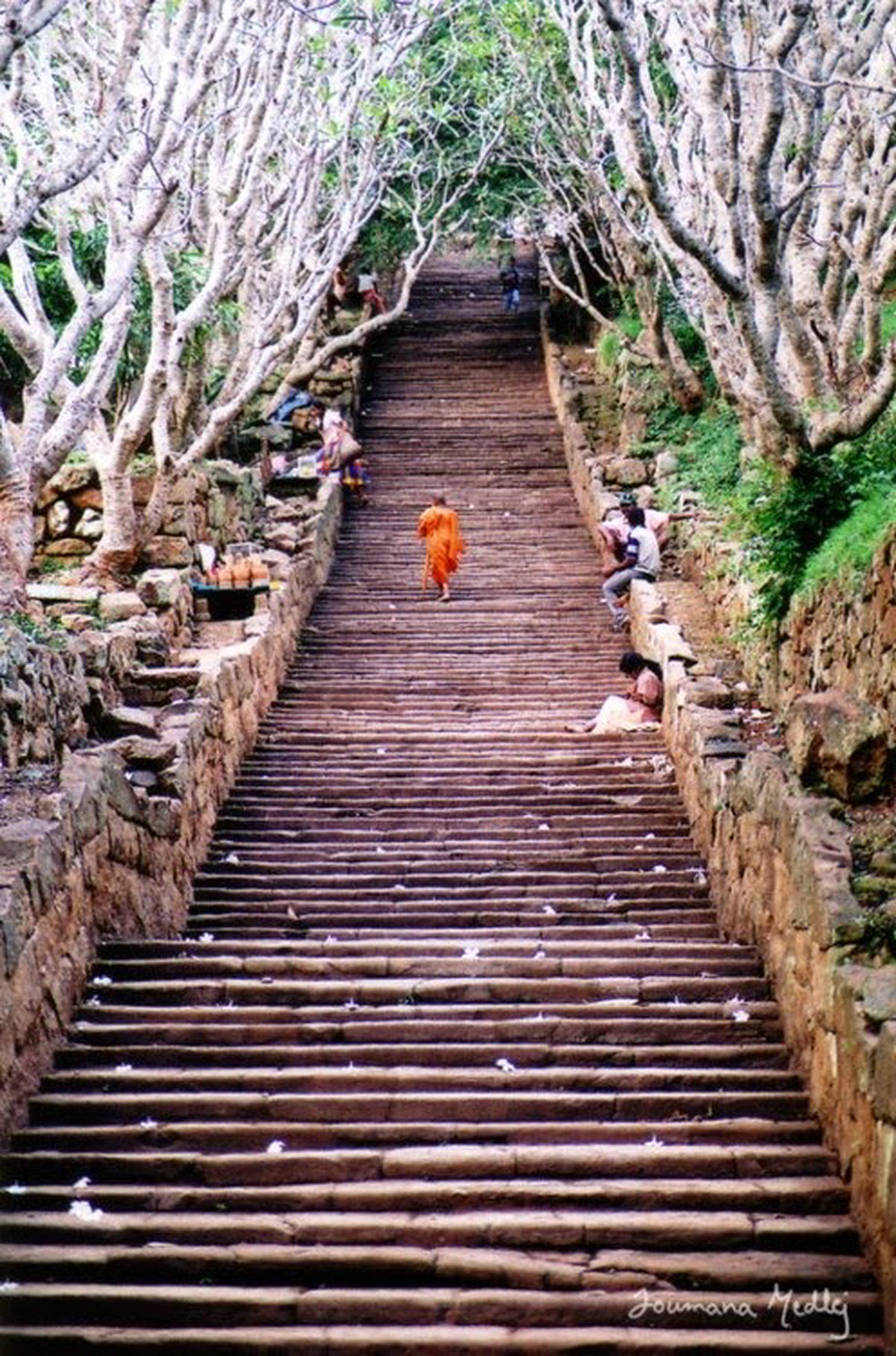El Dharma y la sociedad de castas
