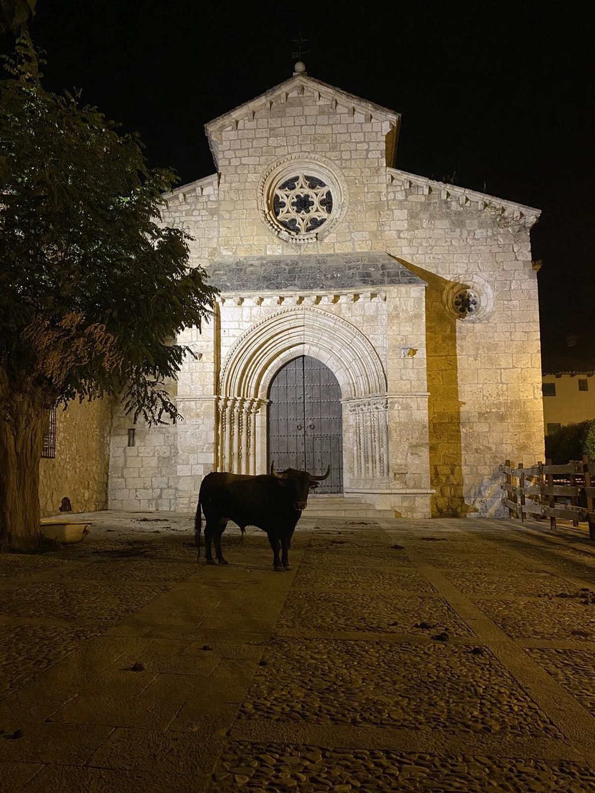 La unión entre lo telúrico y lo sagrado, entre la fuerza instintiva de la tierra y la elevación espiritual del templo cristiano. El toro representa el alma ardiente, heroica y sacrificial de España, mientras que el templo encarna el orden espiritual que da medida y sentido a esa fuerza.