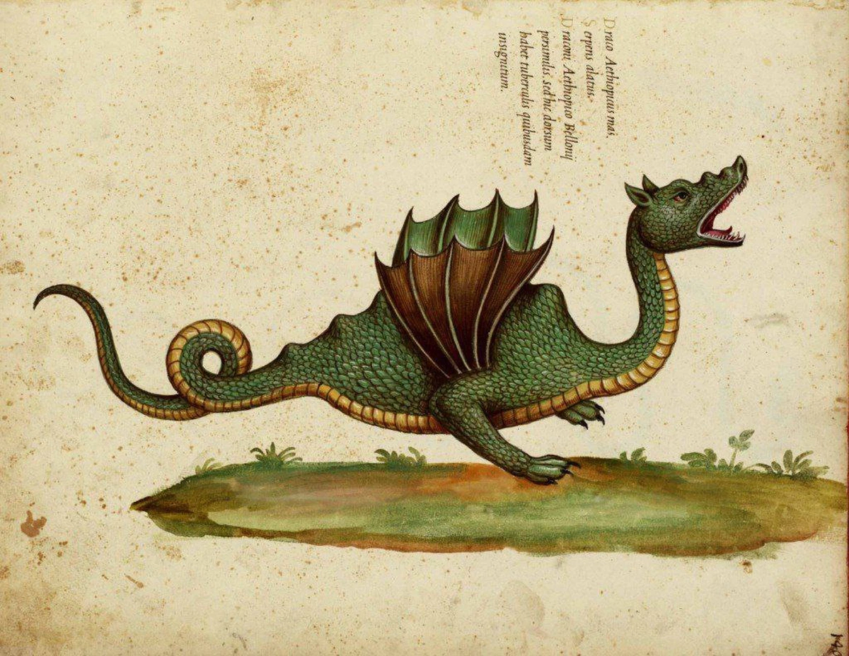 Ilustración que muestra la representación de un dragón, basada en las descripciones del científico y naturalista italiano Ulisse Aldrovandi (1522-1605).