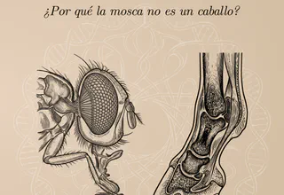 © Hipérbola Janus · Archivo propio Presentación de «Olvidar a Darwin: ¿Por qué la mosca no es un caballo?», de Giuseppe Sermonti