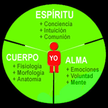 El ternario que compone la naturaleza humana.
