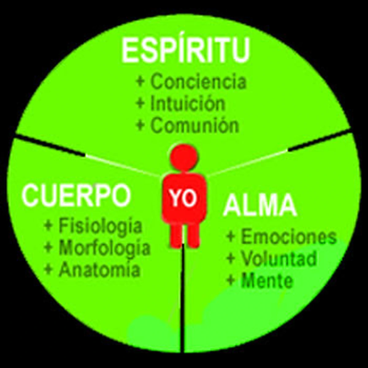 El ternario que compone la naturaleza humana.