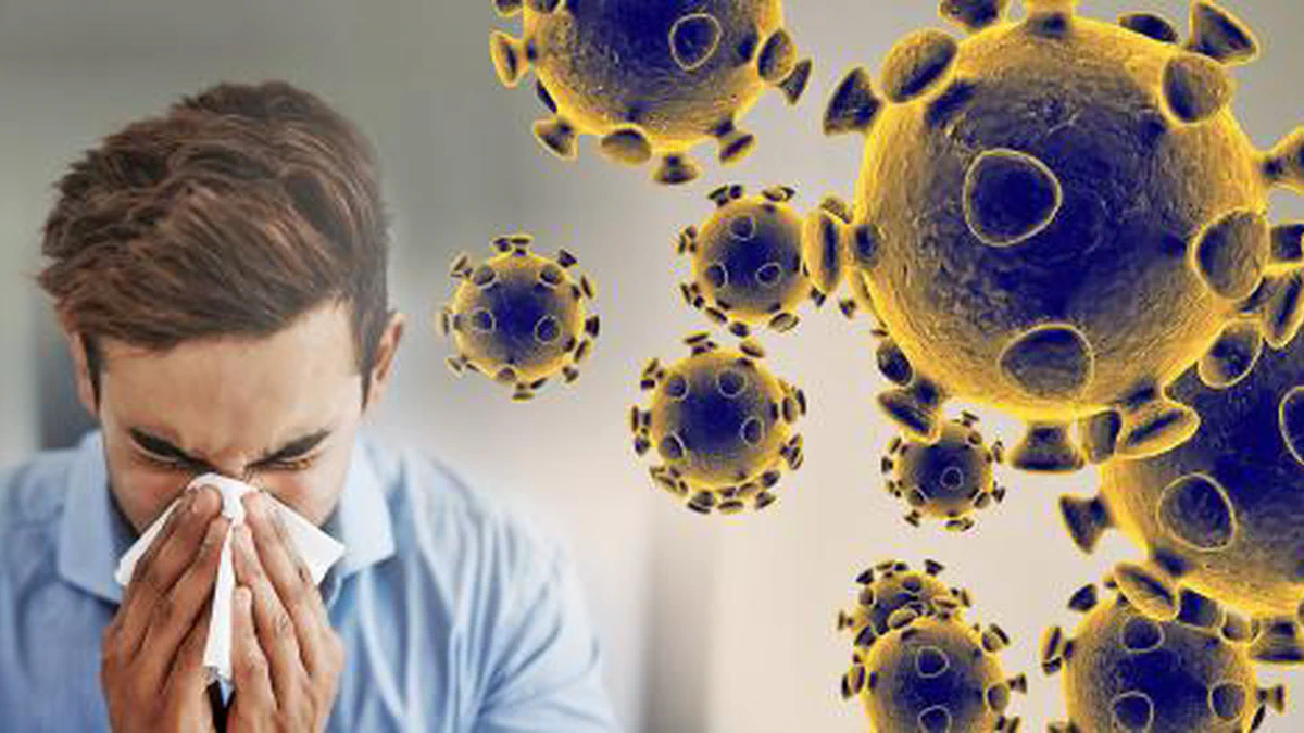 Cover image for Una reflexión sobre el coronavirus
